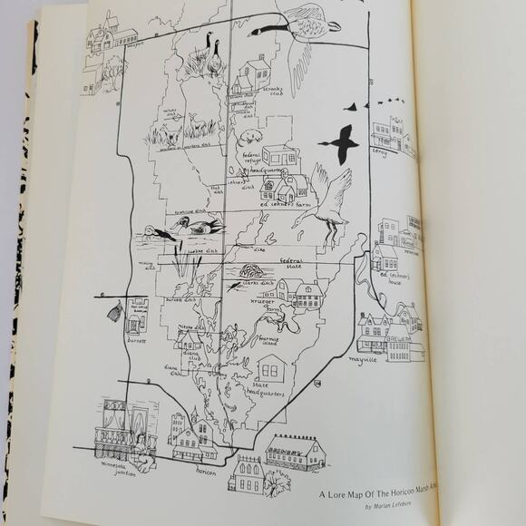 Wild Goose Marsh Horicon Stopover Robert Gard 1st Edition Vintage Wisconsin 1972 - Picture 9 of 12